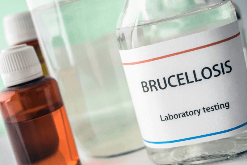 Brucellosis (Brucella)