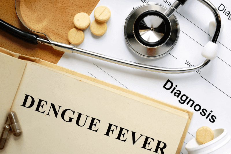 Dengue Fever